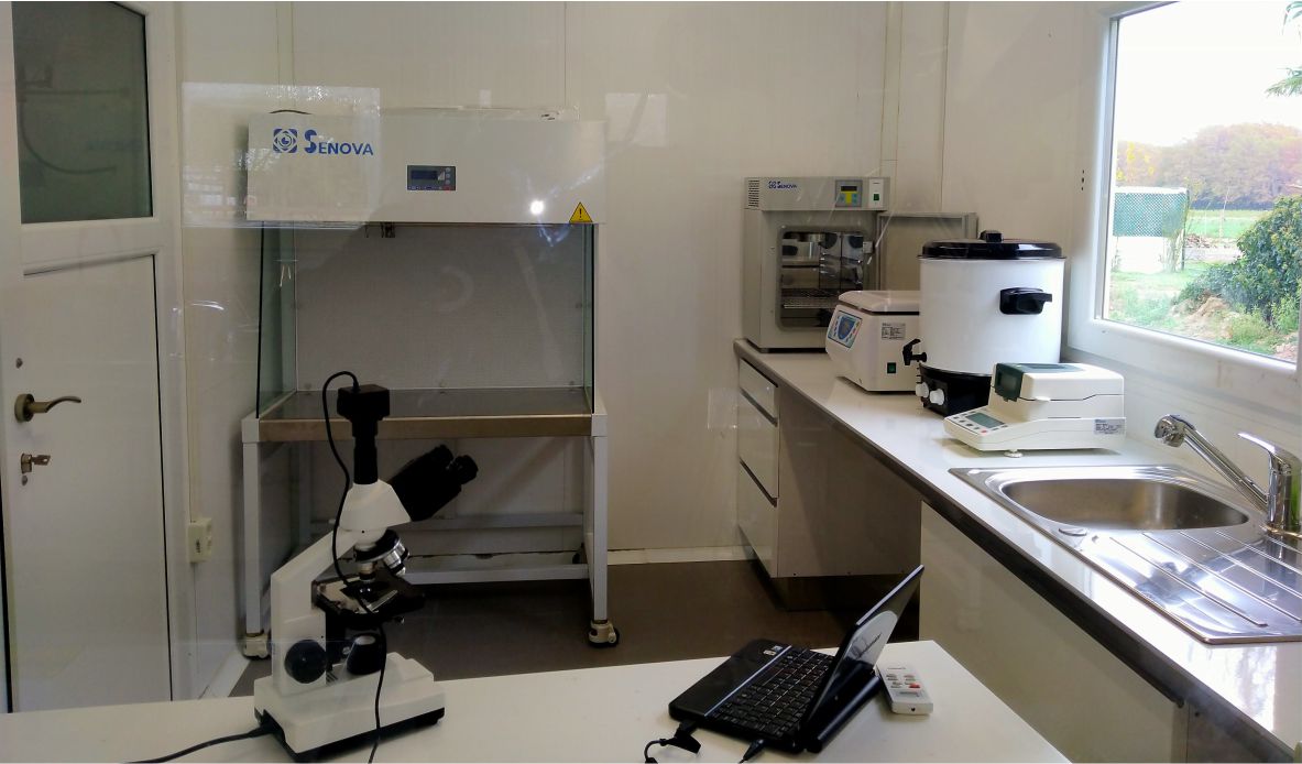 Laboratori i recerca científica de la llet d'euga
