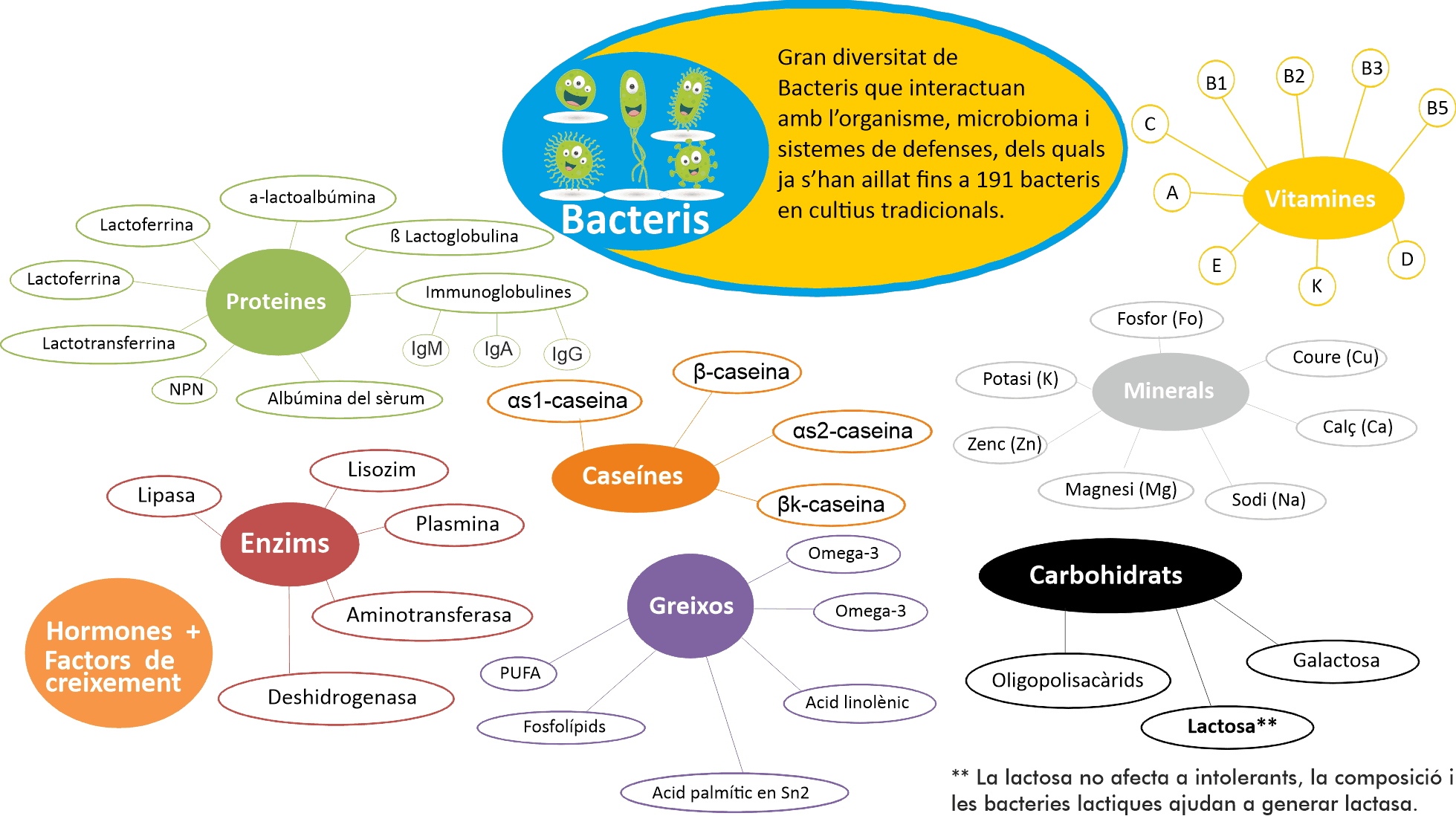 eQuaid te una gran biodiversitat de bacteris que interactuan amb l'organisme, microbioma i sistema de defenses.